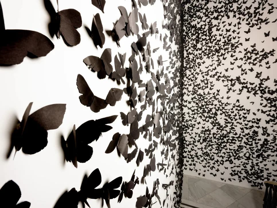 Two-part mixed-media installation: black paper butterflies graduating from dimensional to flat on white wall; dense cluster of small black shapes on textured gray wall.