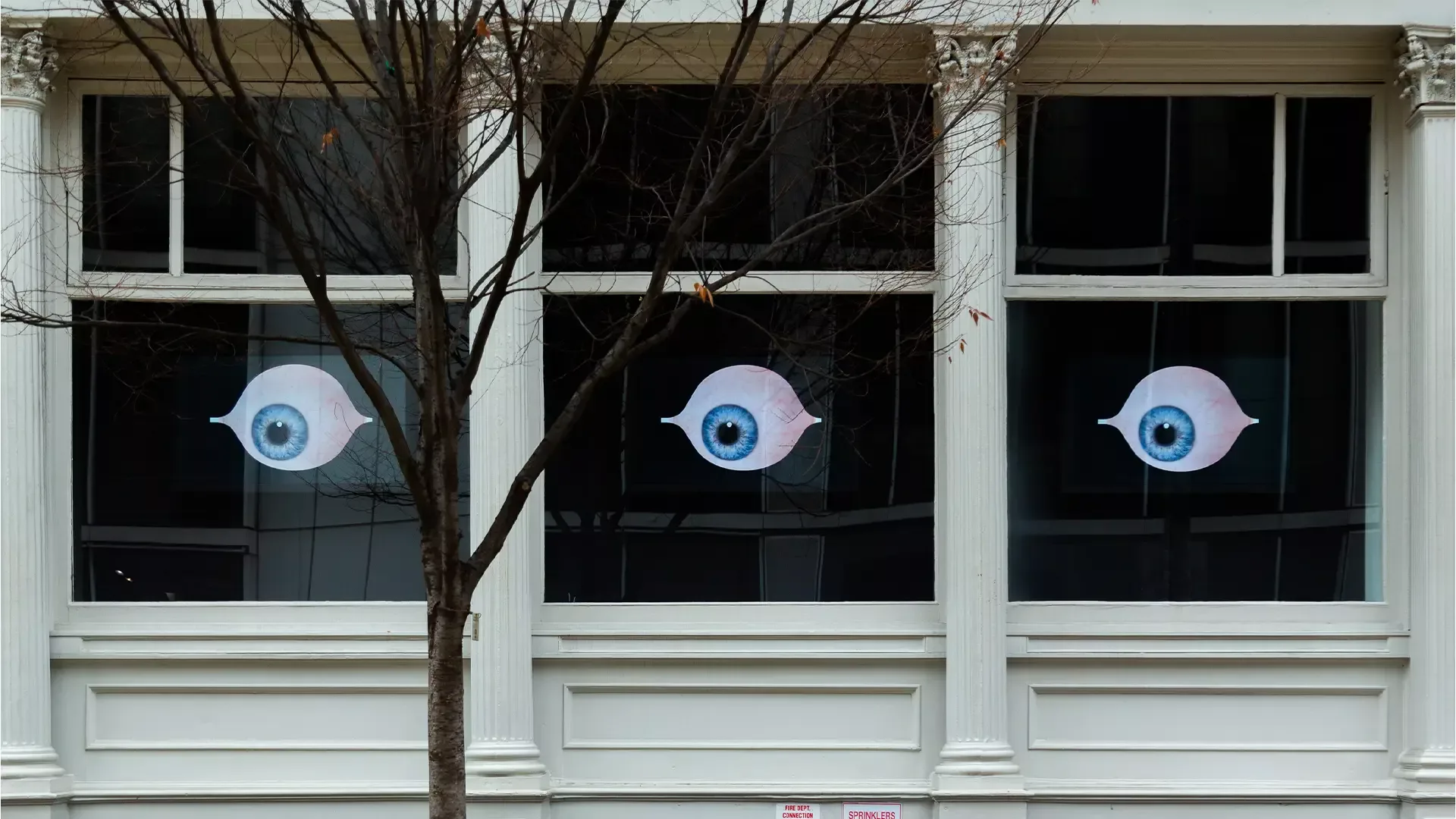 Photograph of storefront windows with white frames displaying three large blue eye artworks, bare tree branches in foreground.