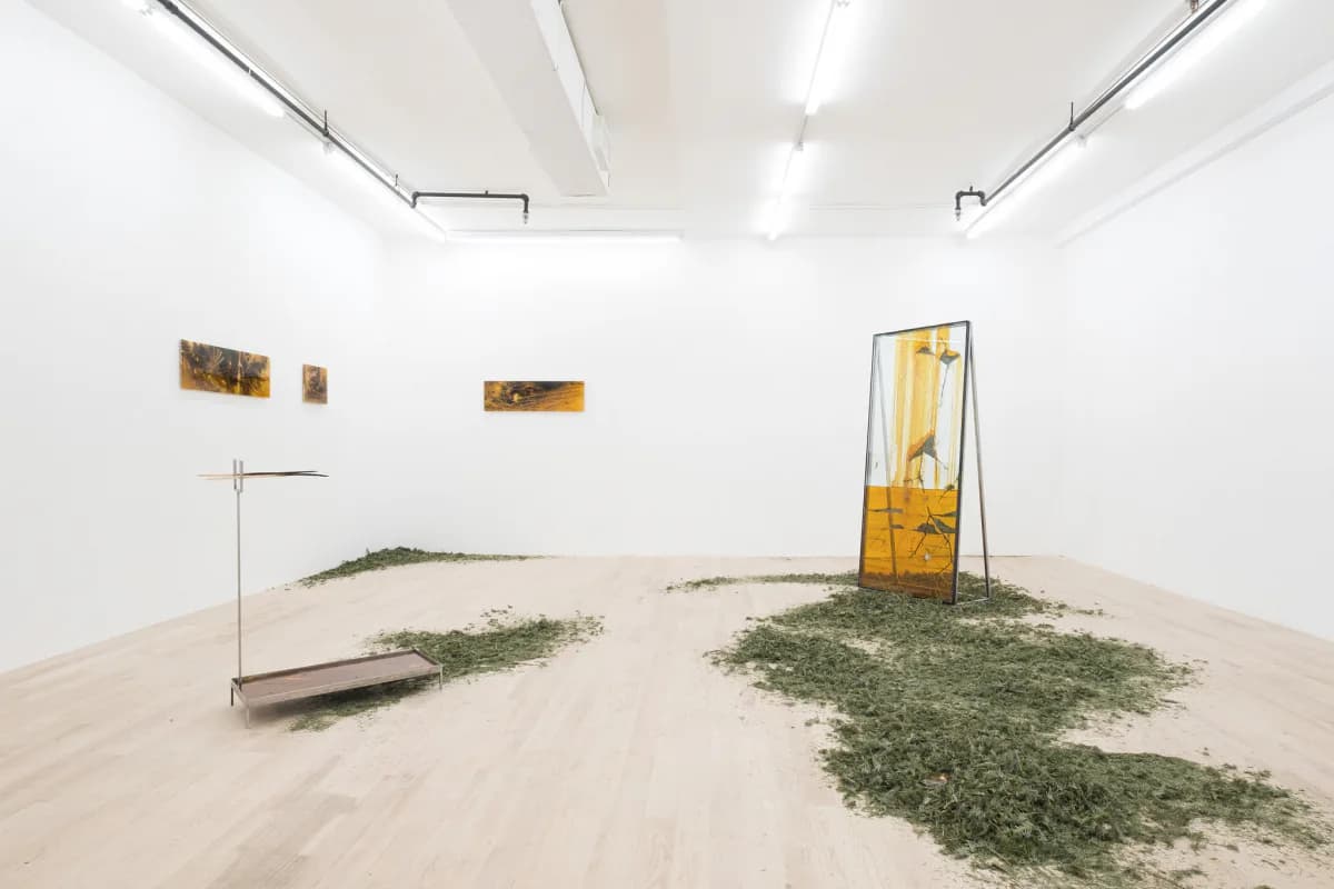 White-walled gallery interior with scattered piles of dried vegetation on light wood floor, metal stand structures, and framed works on walls.
