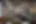 Heavily pixelated or blurred image with indistinct brown and gray tones; content not discernible.
