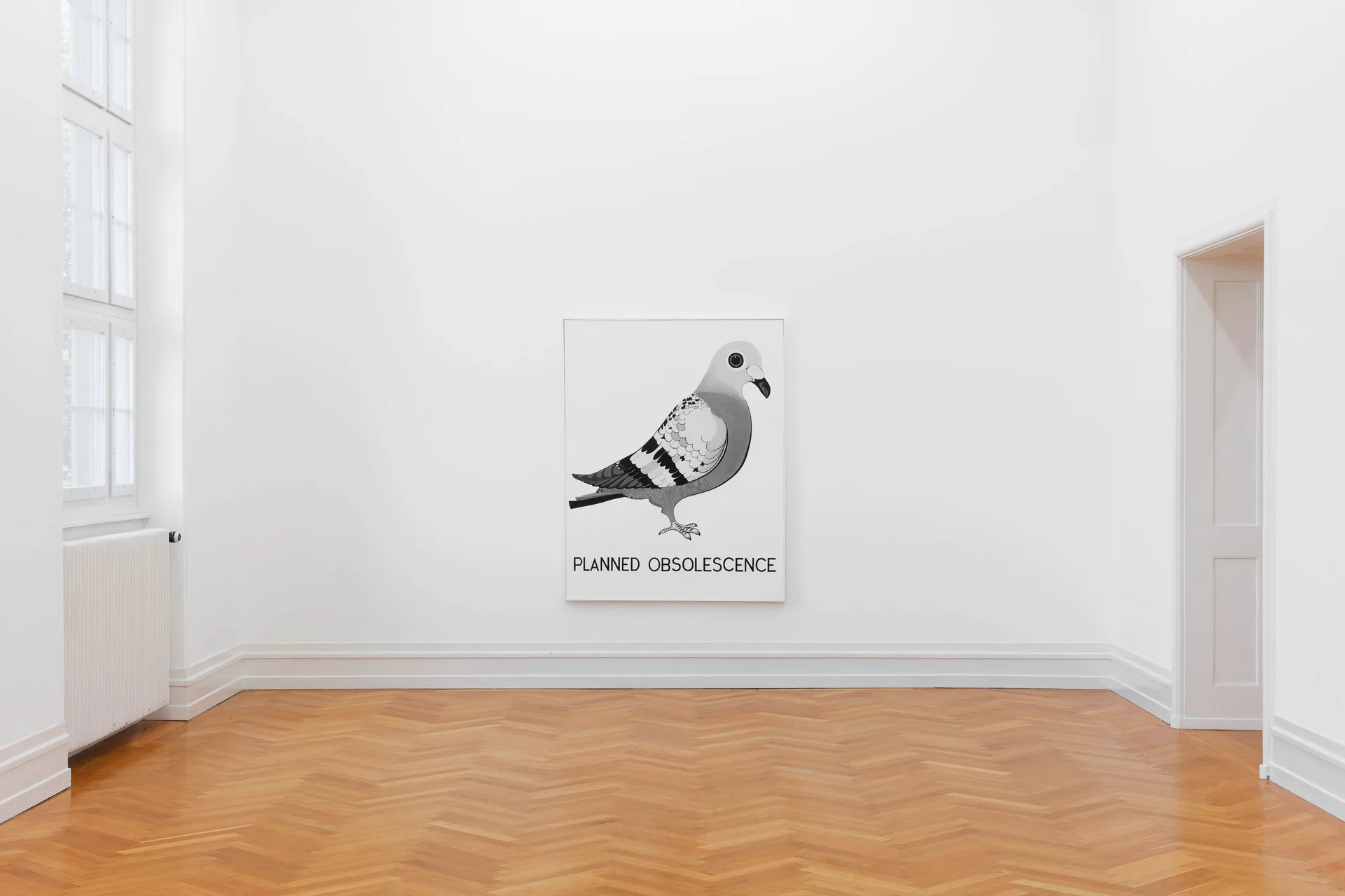 Gallery room with herringbone wood floor, white walls, single framed pigeon drawing labeled 'FLAMED OBSOLESCENCE', window and doorway.