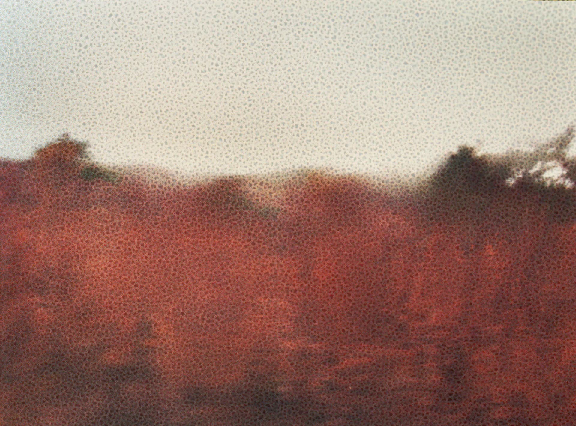 Soft-focus atmospheric photograph of a reddish-brown landscape or vegetation with hazy horizon line and muted, grainy texture.