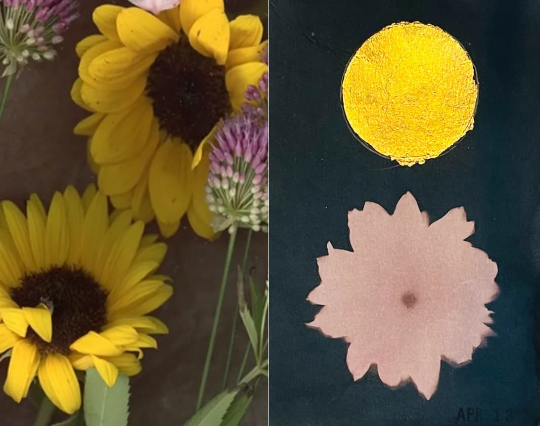 Hero artwork by Riley - Young Studio