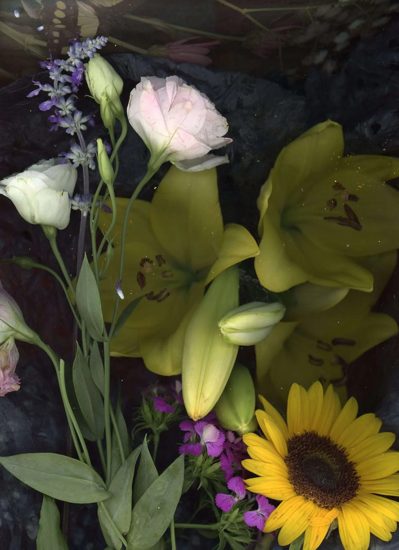 Artwork 01 by Riley - Young Studio