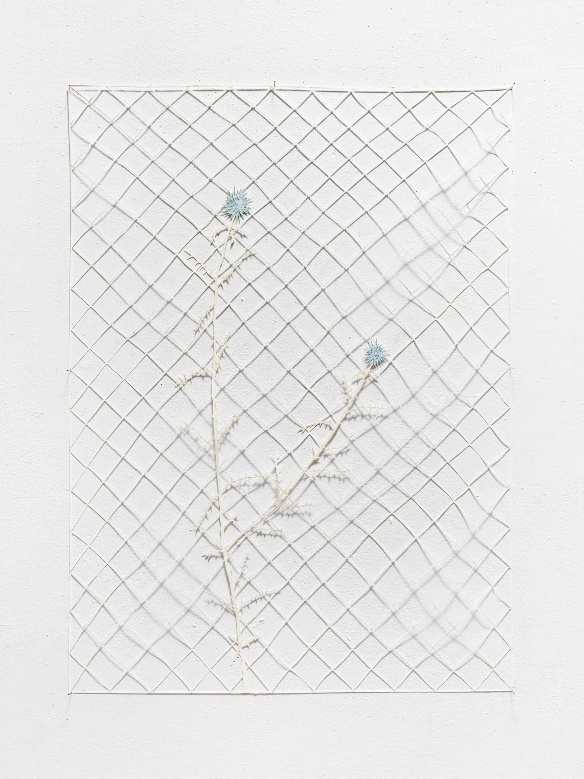 Delicate mixed-media drawing with a light gray diamond grid pattern, sparse botanical elements with fine line work, and two blue flowers positioned vertically.