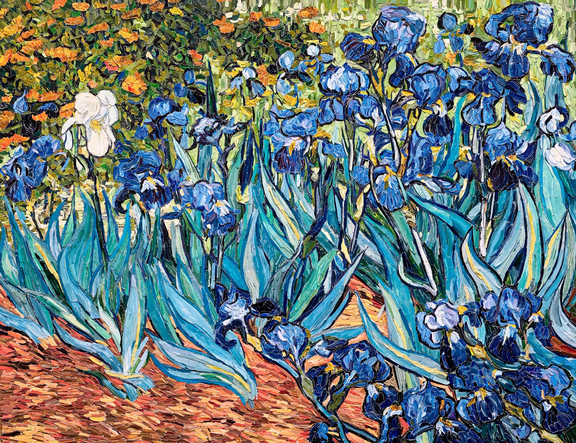 Oil painting of irises in blue, white, and yellow tones with bold, expressive brushstrokes against an orange-red ground in the style of Van Gogh.