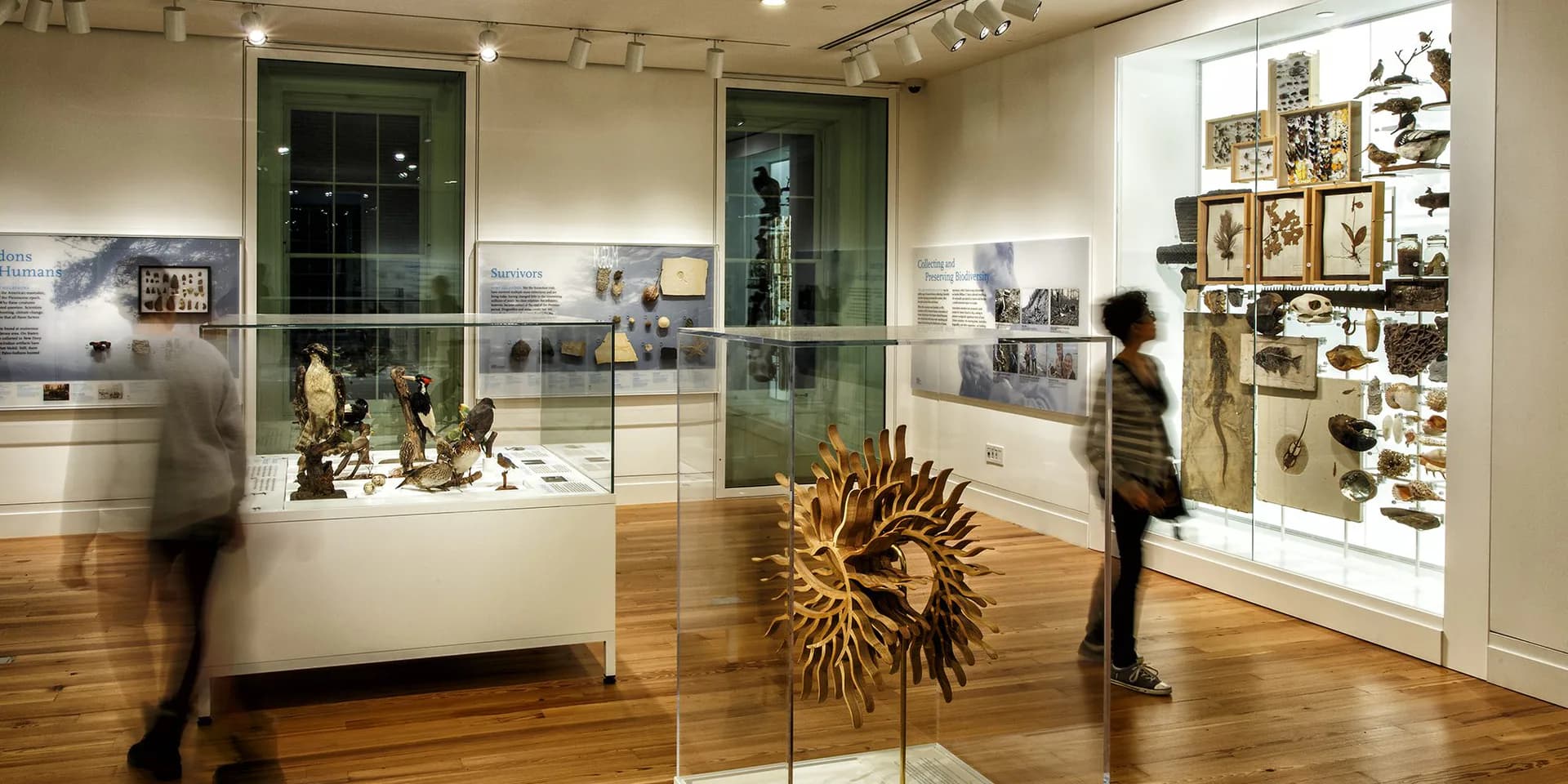 Interior of Staten Island Museum gallery with wooden floors, display cases with artifacts, and visitors viewing exhibits on white walls.