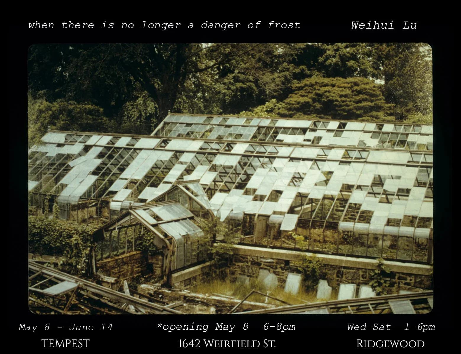Exhibition announcement with aerial photograph of greenhouse structures, text: 'when there is no longer a danger of frost' by Weihui Lu; May 8–June 14 opening, Tempest Gallery.
