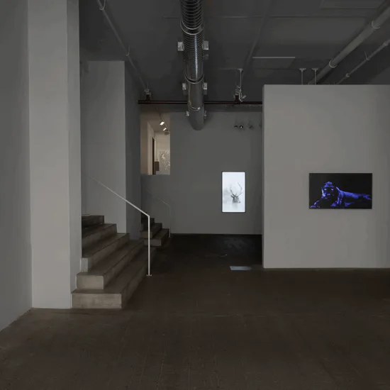 Gallery interior at Winston Wächter Fine Art showing white walls, concrete floor, industrial ceiling infrastructure, staircase, and mounted digital and framed artworks.