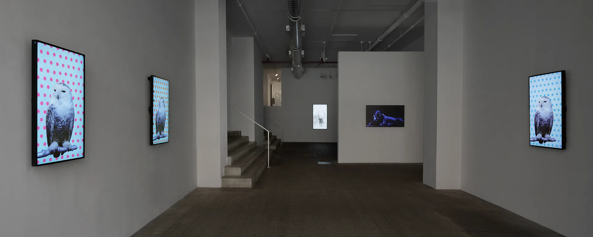 Winston Wächter Fine Art gallery space with polished concrete floor, mounted digital screens displaying blue landscape imagery, white walls, and industrial ceiling.